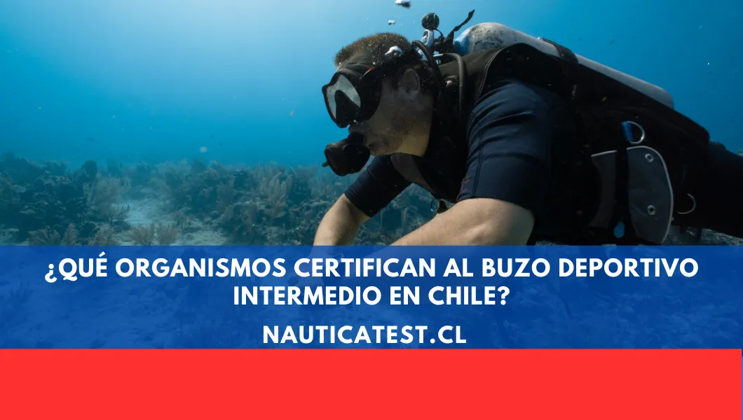 ¿Qué Organismos Certifican al Buzo Deportivo Intermedio en Chile?