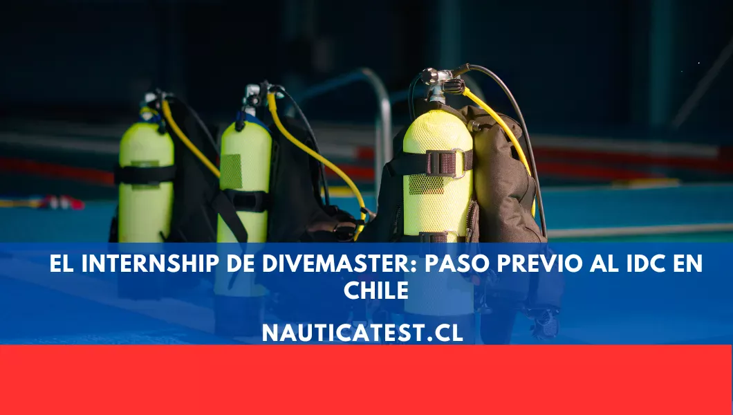 El Internship de Divemaster: Paso Previo al IDC en Chile