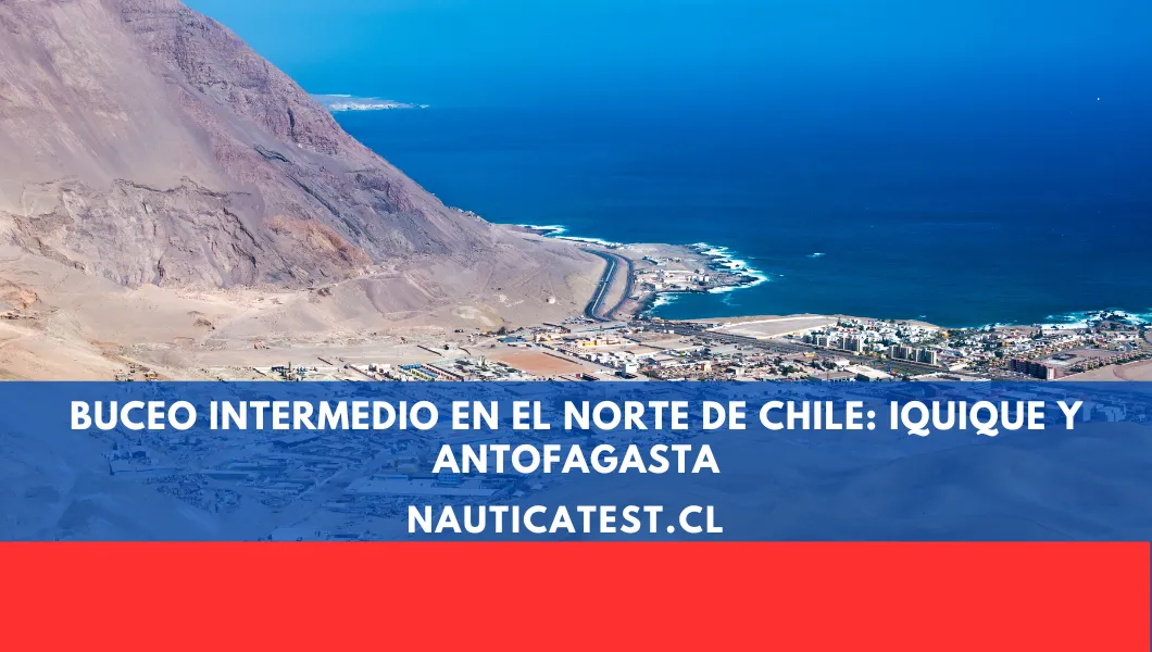 Buceo Intermedio en el Norte de Chile: Iquique y Antofagasta