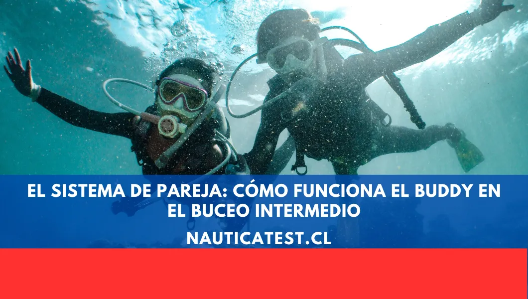 El Sistema de Pareja: Cómo Funciona el Buddy en el Buceo Intermedio