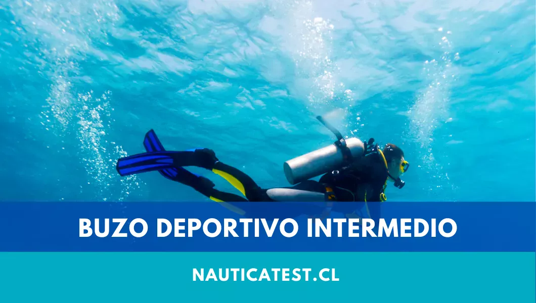 Buzo Deportivo Intermedio