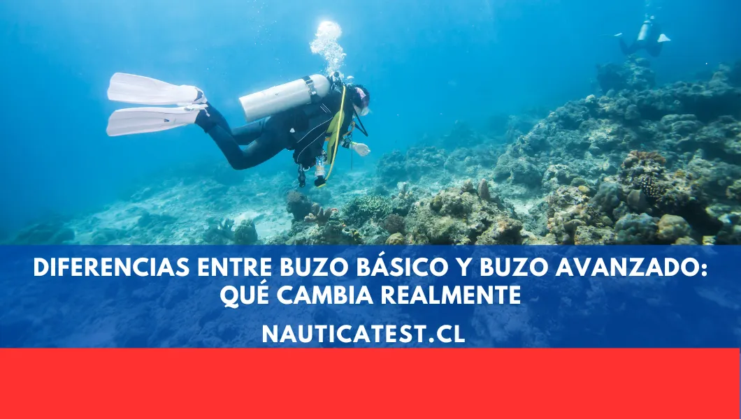 Diferencias entre Buzo Básico y Buzo Avanzado: Qué Cambia Realmente