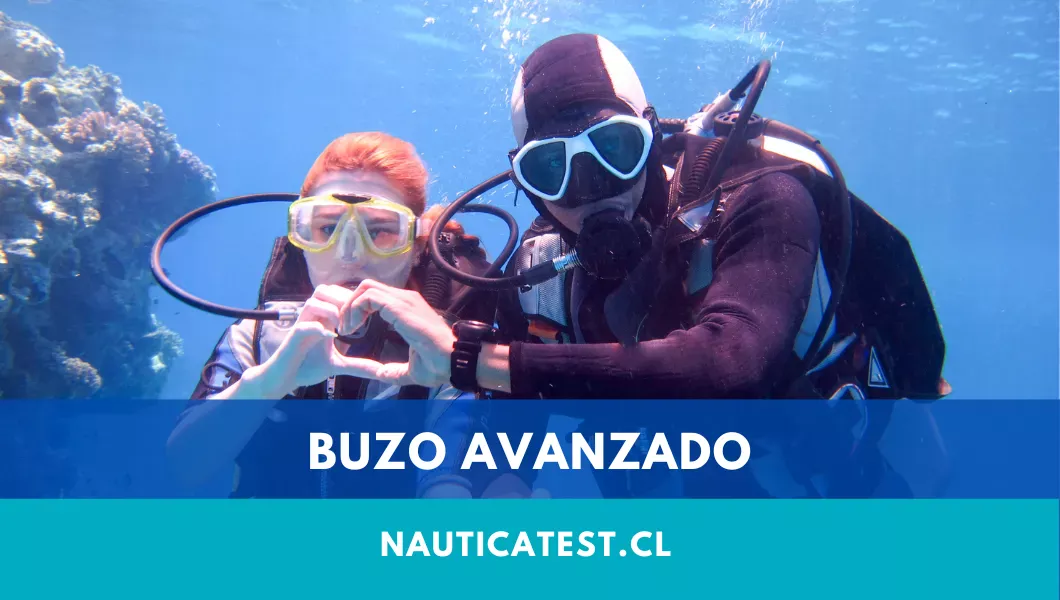 Buzo Avanzado