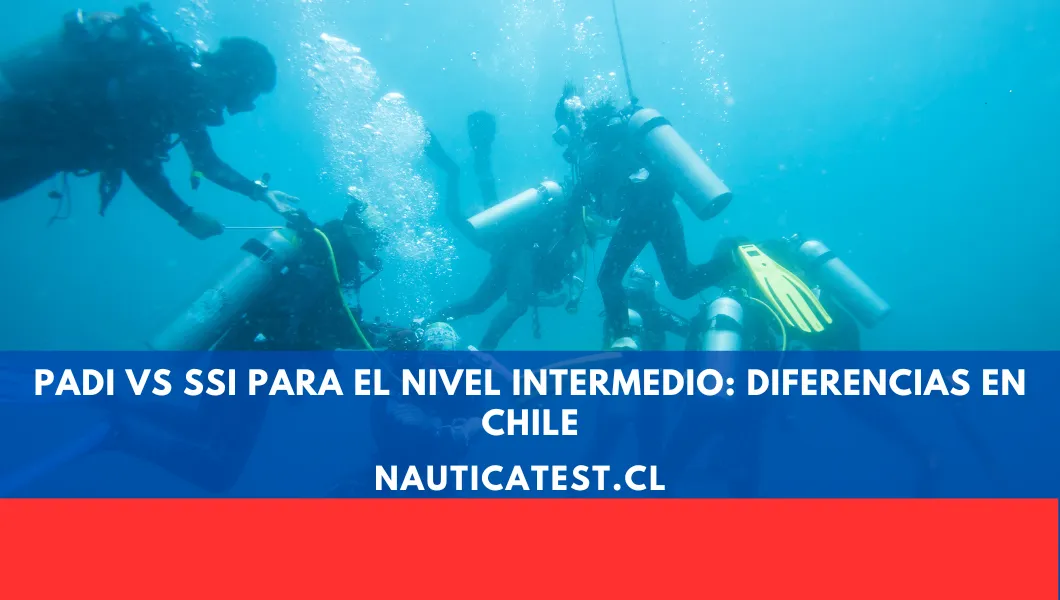 PADI vs SSI para el Nivel Intermedio: Diferencias en Chile