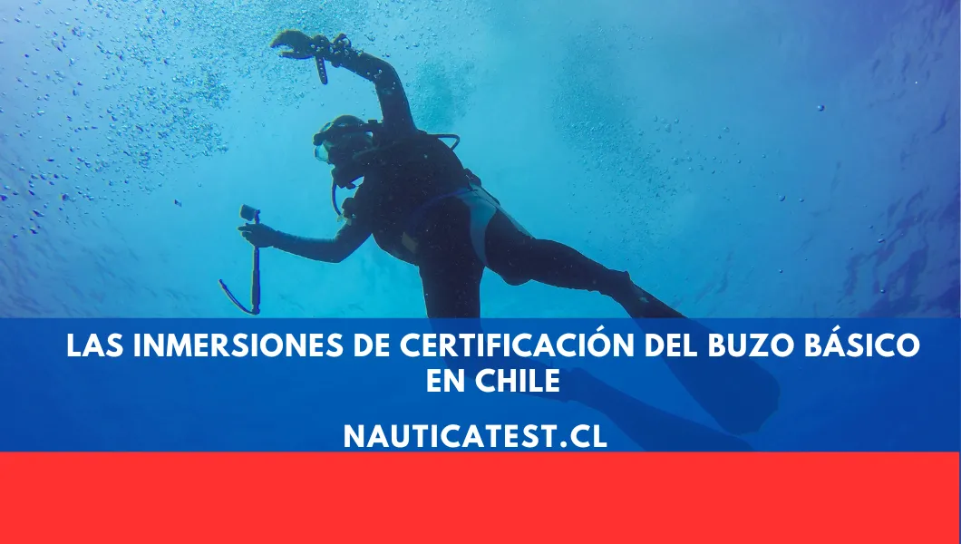 Las Inmersiones de Certificación del Buzo Básico en Chile