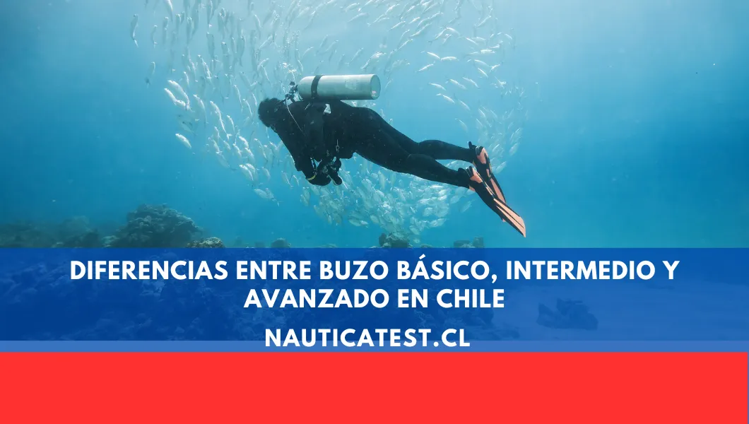 Diferencias entre Buzo Básico, Intermedio y Avanzado en Chile