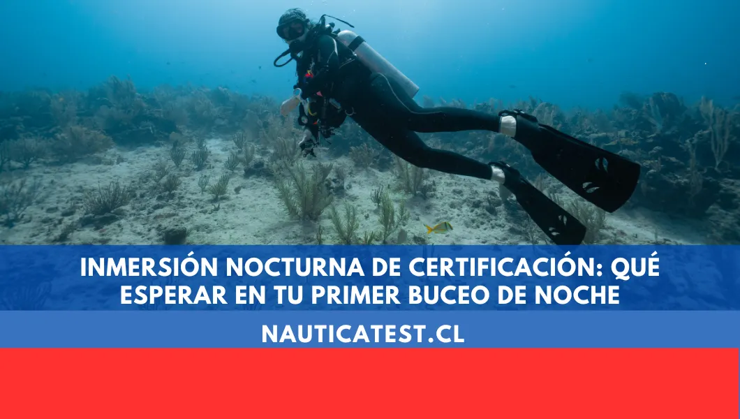 Inmersión Nocturna de Certificación: Qué Esperar en Tu Primer Buceo de Noche