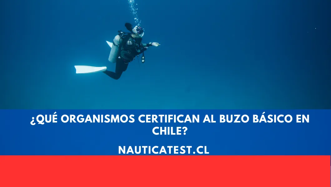 ¿Qué Organismos Certifican al Buzo Básico en Chile?