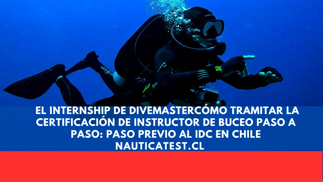 Cómo Tramitar la Certificación de Instructor de Buceo Paso a Paso