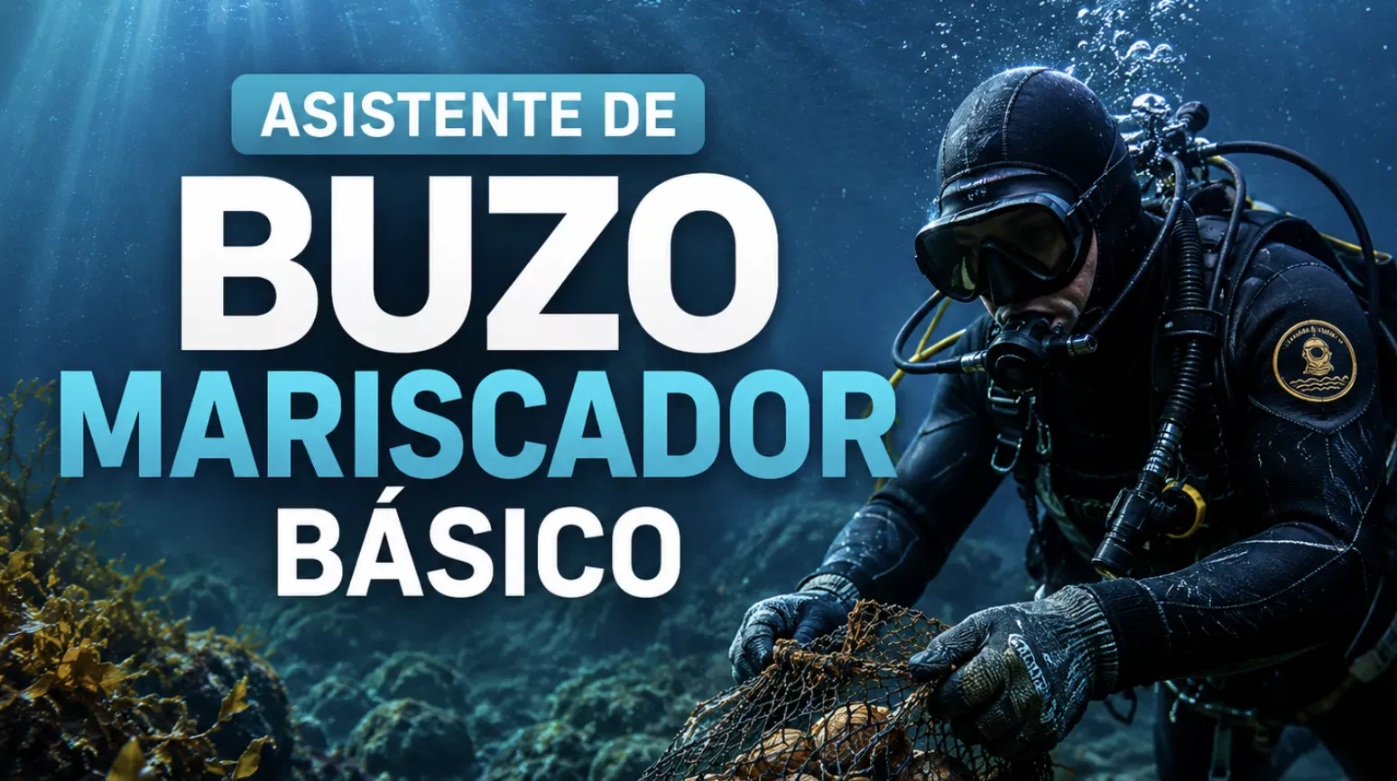 Asistente de Buzo Mariscador Básico