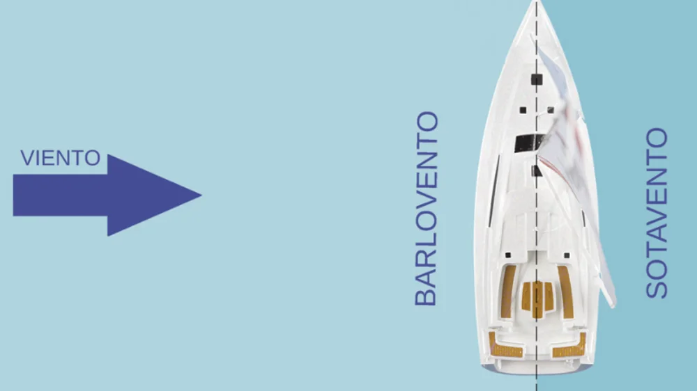 Imagen de la pregunta