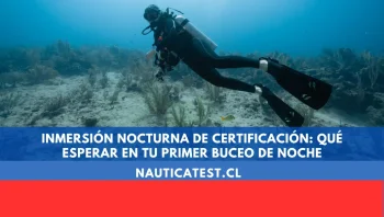 Inmersión Nocturna de Certificación: Qué Esperar en Tu Primer Buceo de Noche