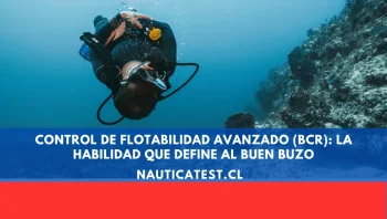 Control de Flotabilidad Avanzado (BCR): La Habilidad que Define al Buen Buzo