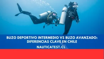 Buzo Deportivo Intermedio vs Buzo Avanzado: Diferencias Clave en Chile