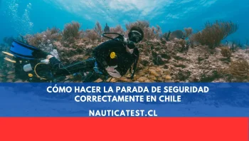 Cómo Hacer la Parada de Seguridad Correctamente en Chile